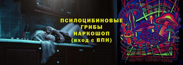 соль ск Алексеевка