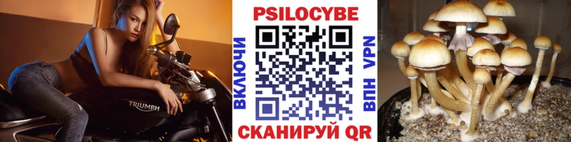 Псилоцибиновые грибы ЛСД  Избербаш 