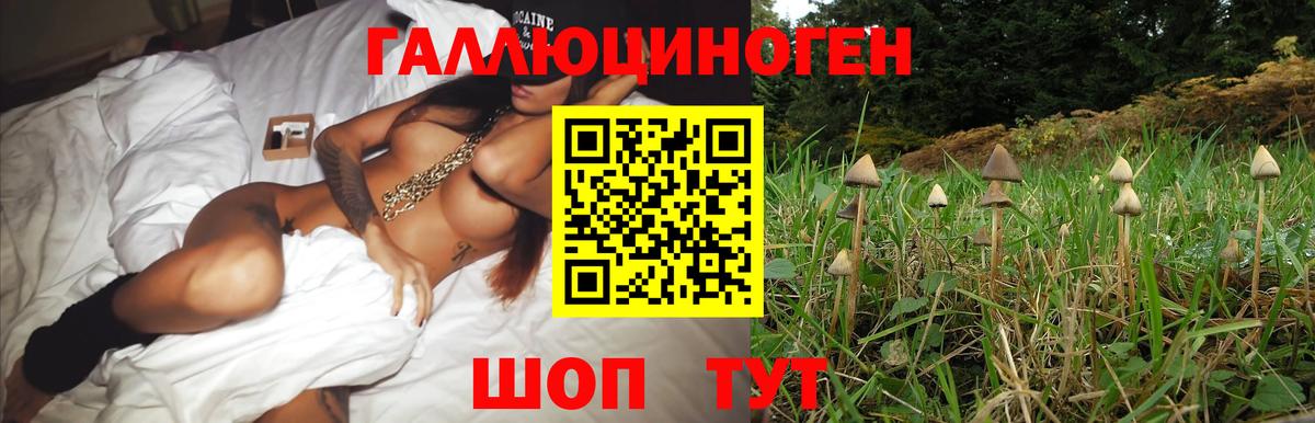 Псилоцибиновые грибы Magic Shrooms  Вход с VPN  Галлюциногенные грибы мицелий  купить закладку  Избербаш 