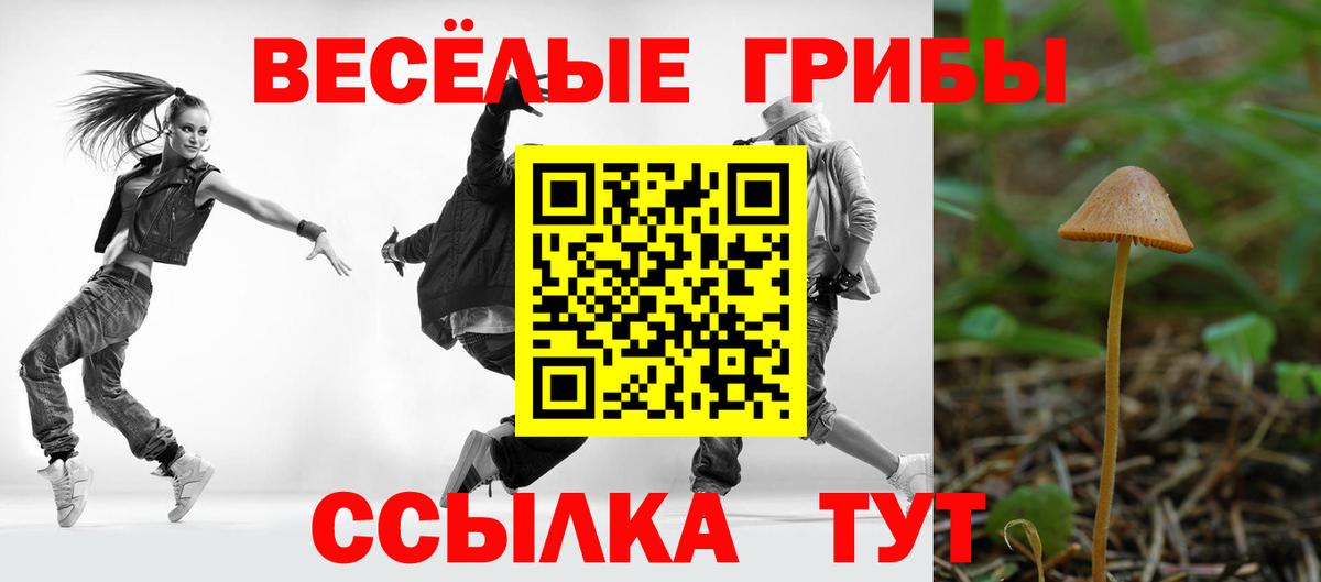 Псилоцибиновые грибы прущие грибы Избербаш