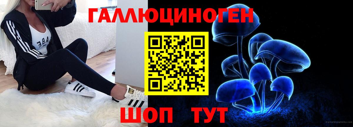 Галлюциногенные грибы ЛСД  Псилоцибиновые грибы Magic Shrooms  Избербаш  Вход с VPN 